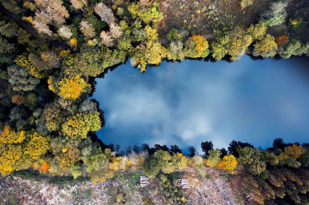 جنگل و دریاچه از نمای چشم پرنده و با کمک تصویربرداری هوایی
